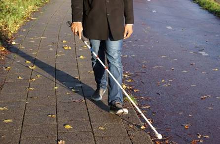 More Than Hand-in-Hand: The Rich World of DeafBlind Communication