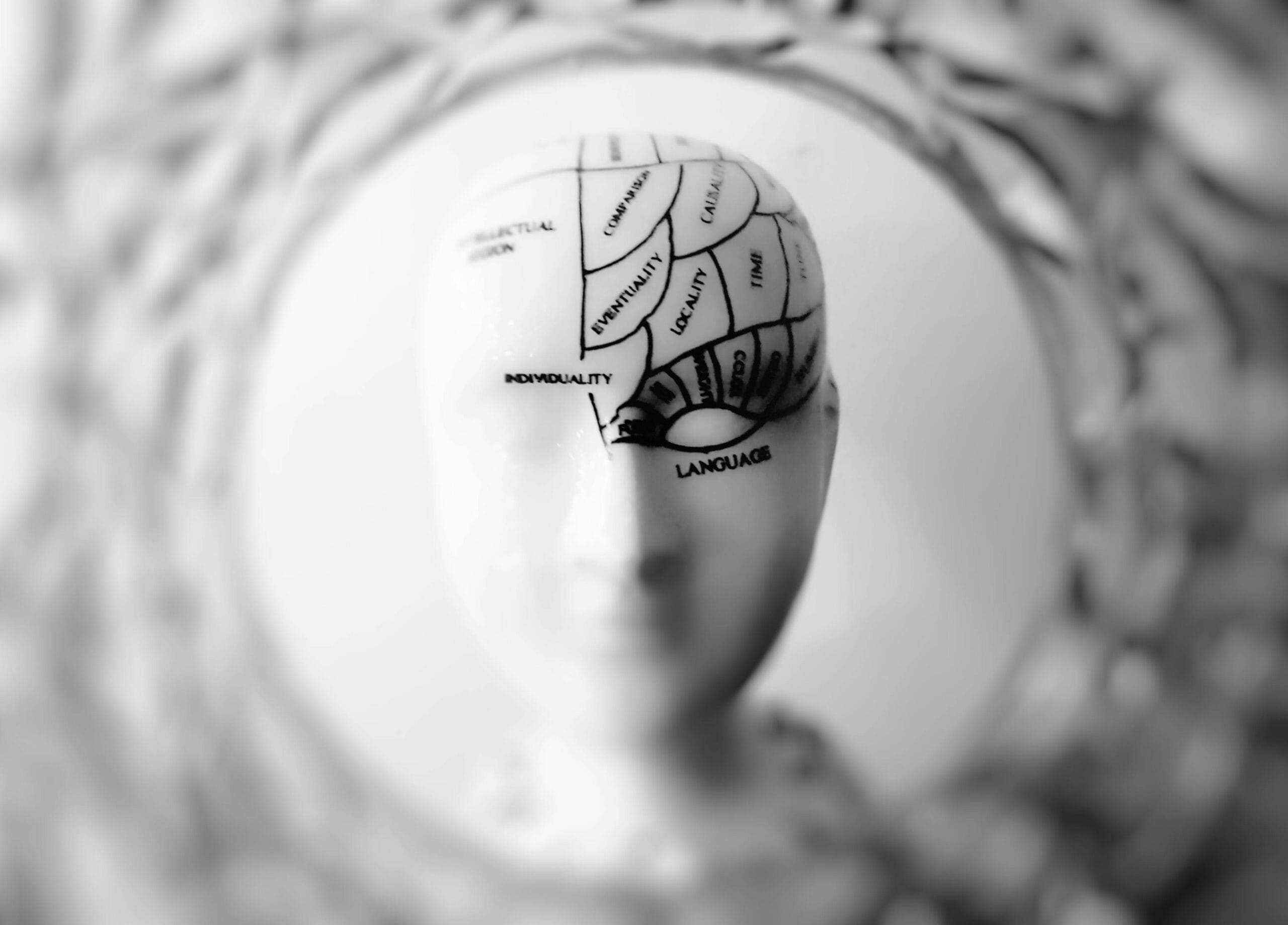 The Science of Sign Language: How the… — Sign Language Blog
